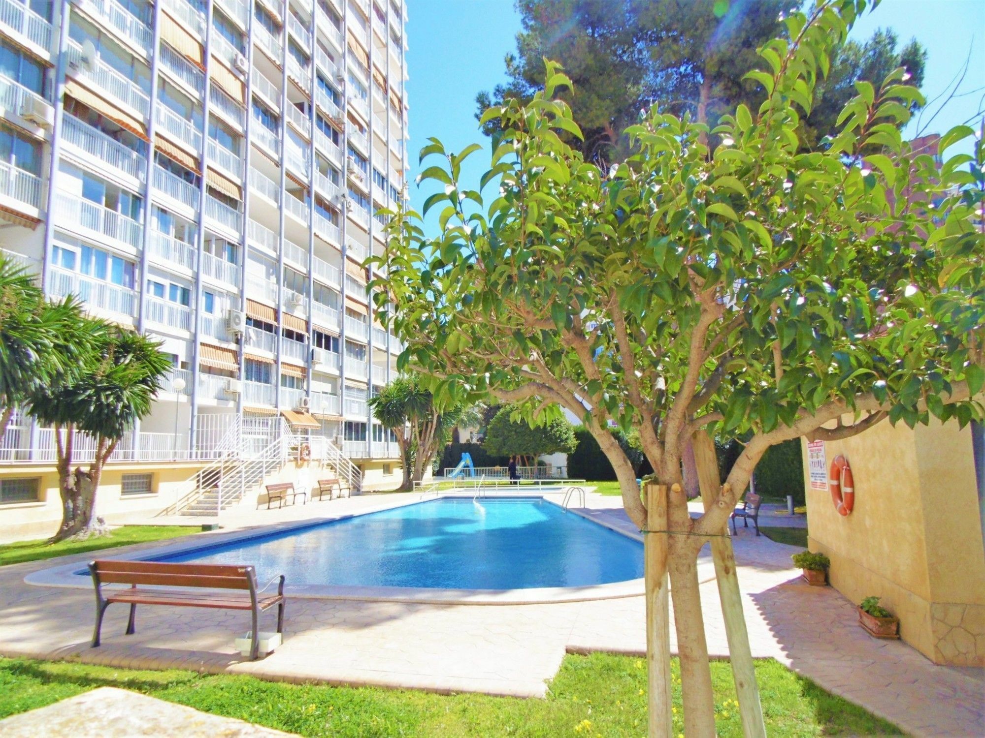 Albatros 11-5 Apartamento Benidorm Exterior foto